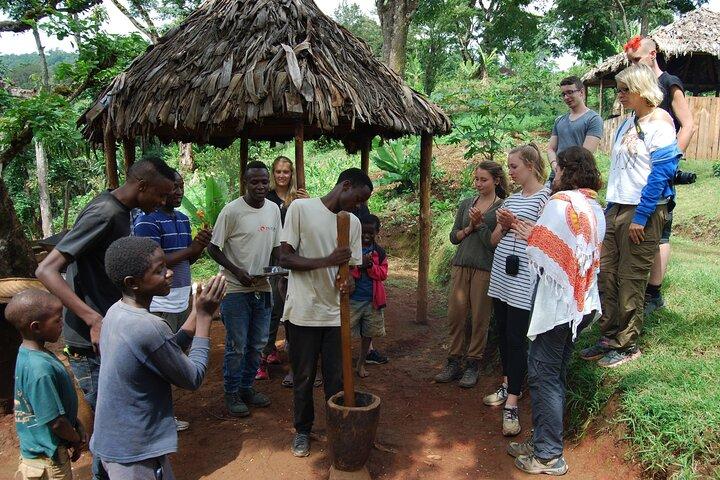 Materuni Village Waterfalls, Coffee Tour & Kikuletwa Hot Springs
