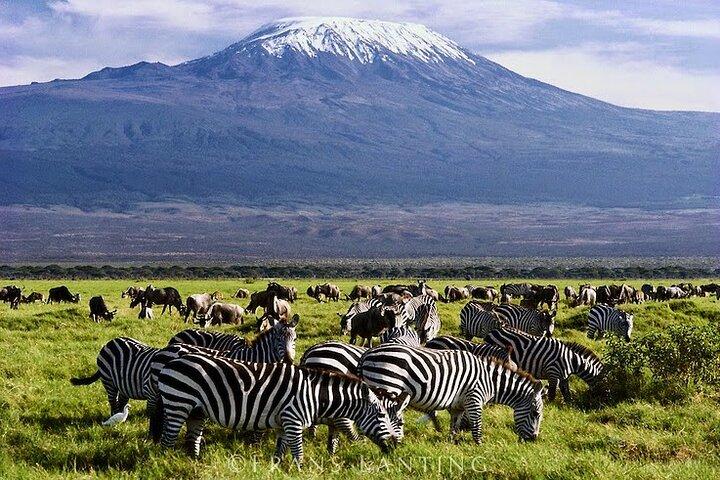 Private 2 Days Tour Amboseli National Park Safari