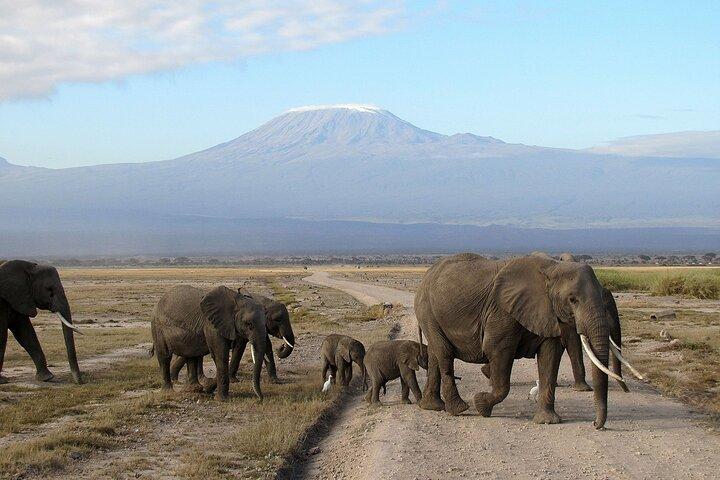 Private 2 Days Tour Amboseli National Park Safari