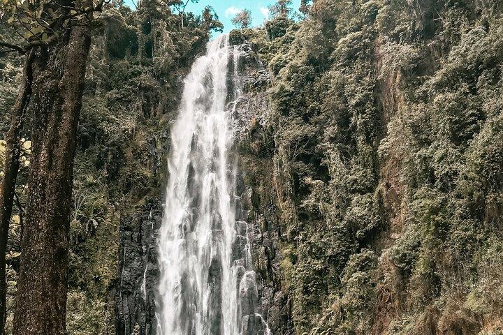 4 Day Cultural Tour from Kilimanjaro with Hike and Safari
