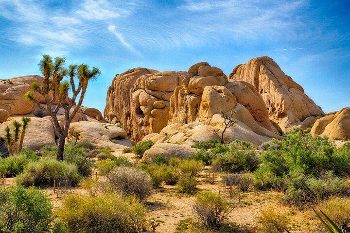 Joshua Tree's Hidden Valley Self-Guided Walking Tour