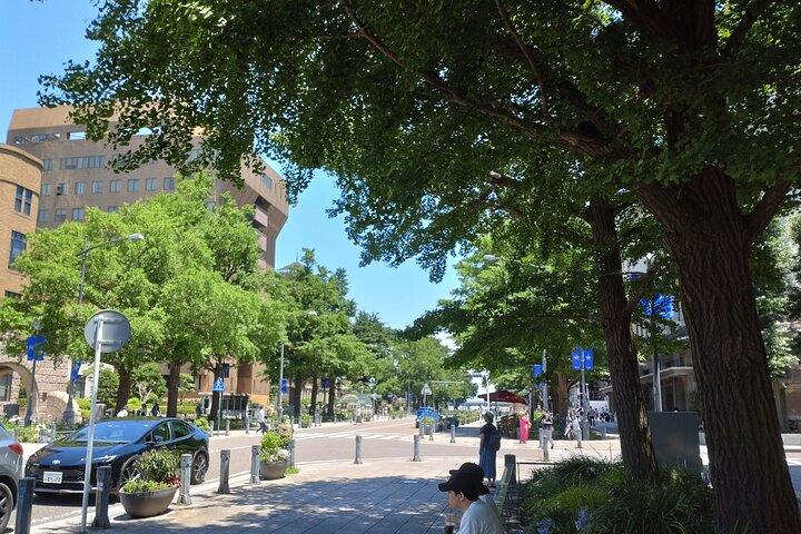 Yokohama Private 2 hours Tour for those who are a little worried