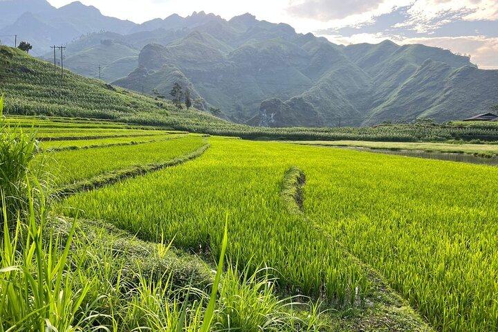 4D3N Ha Giang Loop with Yolo Ha Giang Adventures