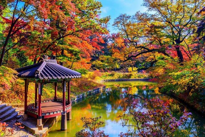 Private Unesco Tour in Seoul with Guide