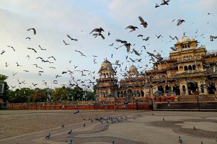 Guided Morning E-Rickshaw Ride with Food Tasting at Jaipur