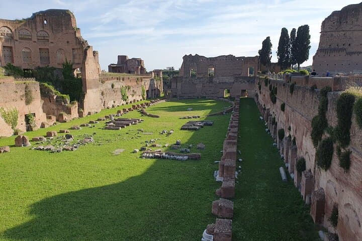 Roman Forum and Palatine Hill Access