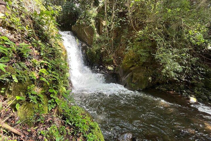 Rincon de la Vieja/Santa Maria Hike & Hot Springs