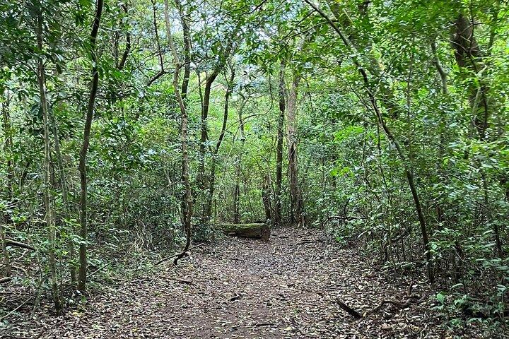 Rincon de la Vieja/Santa Maria Hike & Hot Springs