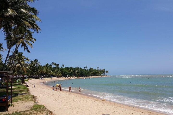 Private Coconut Coast & Praia do Forte Tour - from Salvador