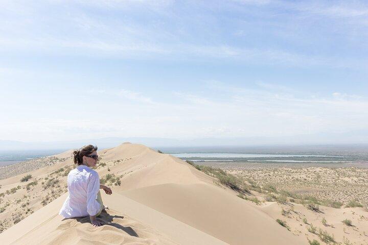 1 Day Express Tour: Altyn Emel National park