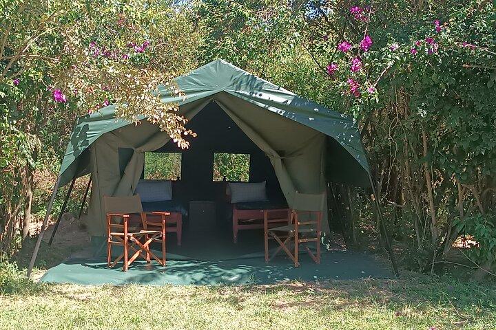 3 Days Masai Mara Camping Safari