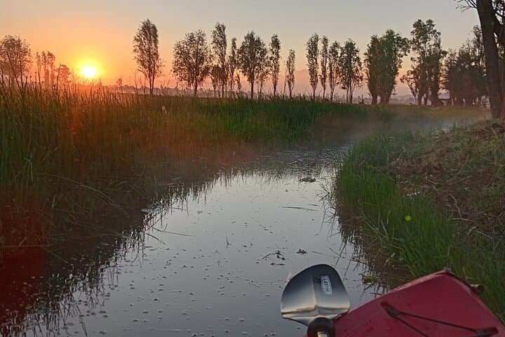 Xochimilco Sunrise Kayak Tour with Breakfast & Island of Dolls