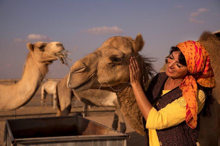Overnight Camel Caravan with BBQ Dinner and Arabic Breakfast