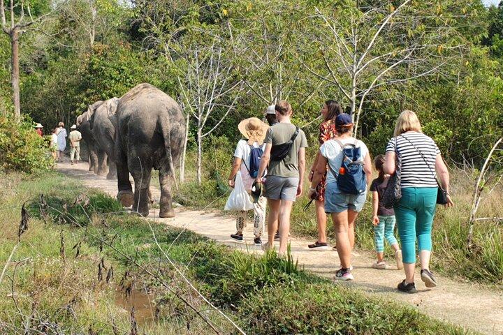 Kulen Elephant Forest & Kampong Phluk by Private Tour
