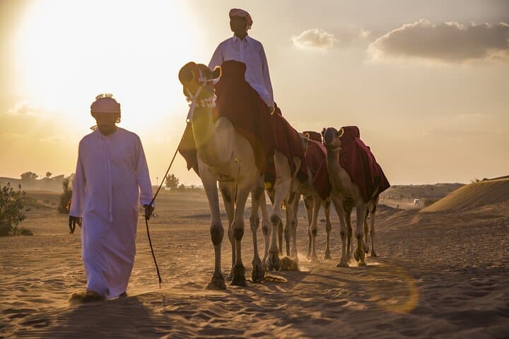 Premium Morning Red Dunes with Quad Bike
