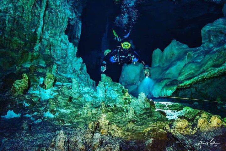 Diving in Cenotes: discovering the Mayan Underworld