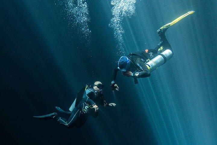 Diving in Cenotes: discovering the Mayan Underworld