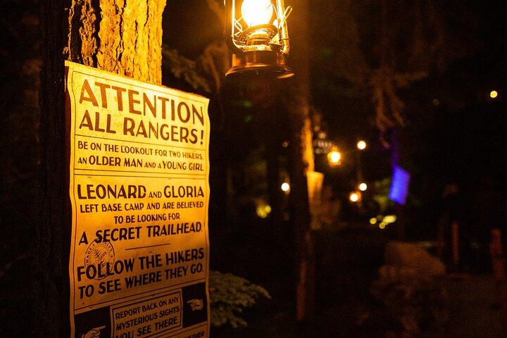 Vallea Lumina Multimedia Evening Experience