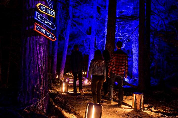 Vallea Lumina Multimedia Evening Experience