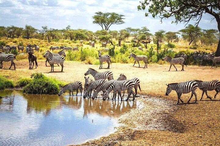 Nairobi 4 Days Amboseli Tsavo West and East Guided Safari