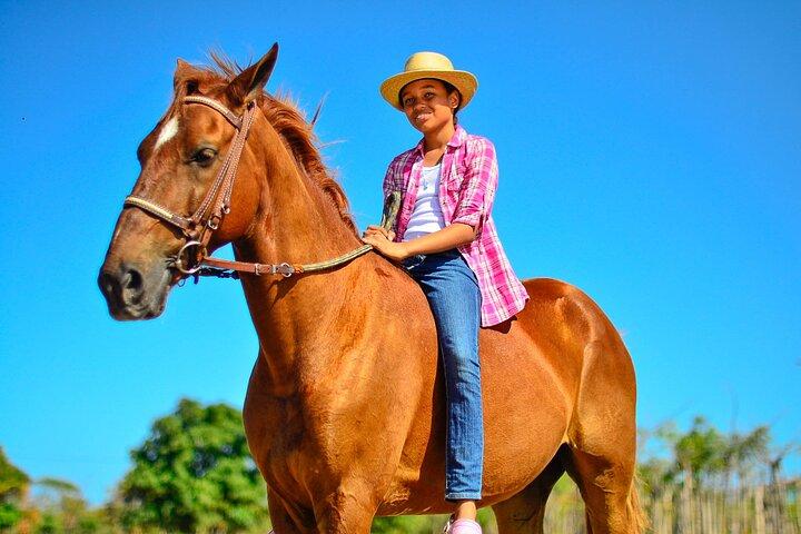 Sunset Horseback Riding Tour in Punta Cana (Private Option)