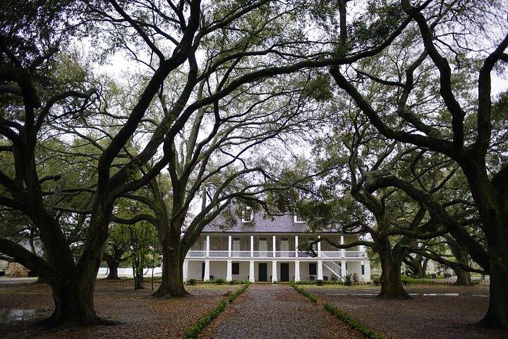 Whitney Plantation Tour with Transportation