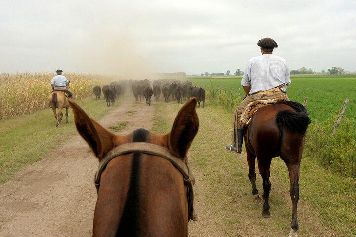 Full-Day Horseback Riding with Gauchos from Buenos Aires
