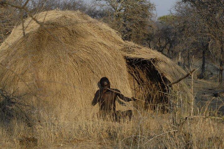 4 Days Hadza Immersion