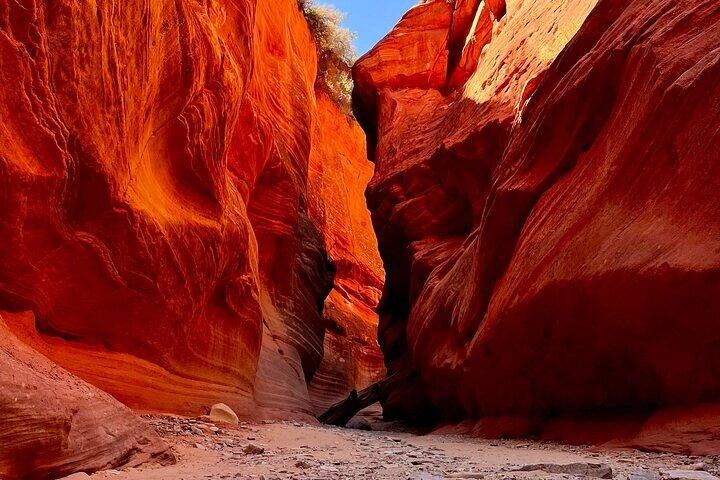 Peekaboo Slot Canyon Tour UTV and Hiking Adventure (Private)