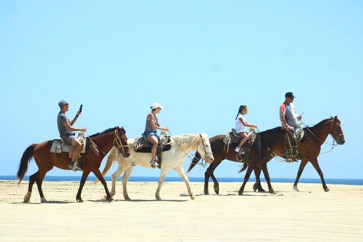 Cabo White Sand Horseback Riding Tour and Tequila Tasting