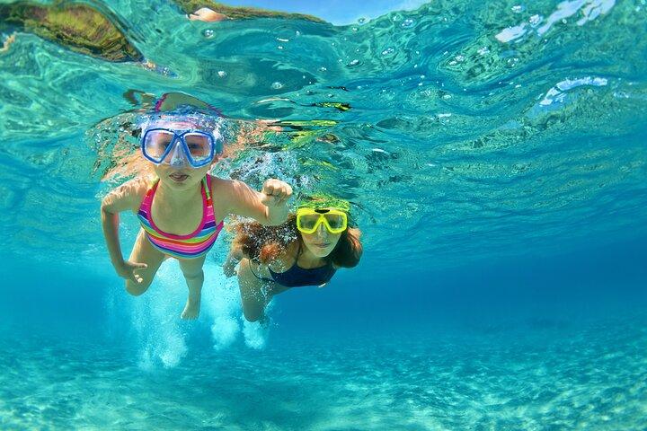 Soundside Cruiser Snorkeling and Dolphin Watching Experience