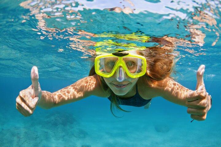 Soundside Cruiser Snorkeling and Dolphin Watching Experience