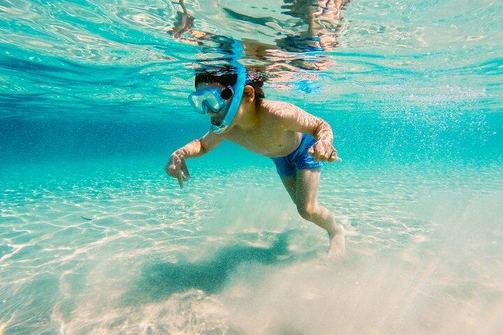 Soundside Cruiser Snorkeling and Dolphin Watching Experience