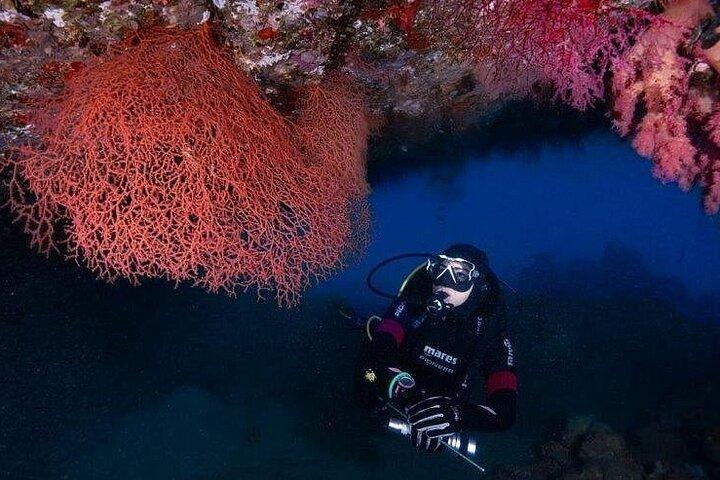 Diving, Snorkeling & Leisure Cruises by Boat