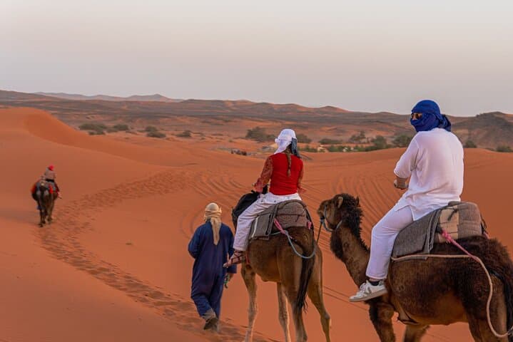 BEST Marrakech to Fes desert tour 3 days