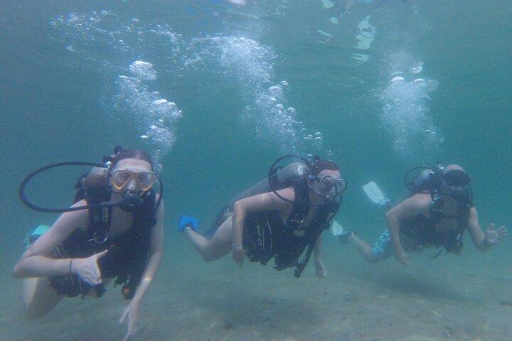 Panama City Scuba Diving Activity for Beginners