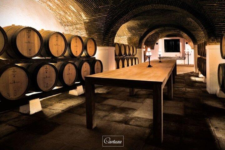 Évora Private Day Trip from Lisbon with Winery Visit