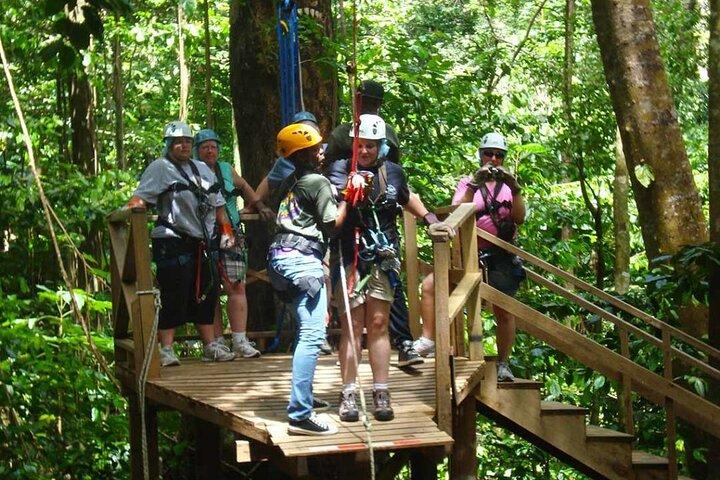 Rainforest Rush: St. Lucia Zip Line Adventure