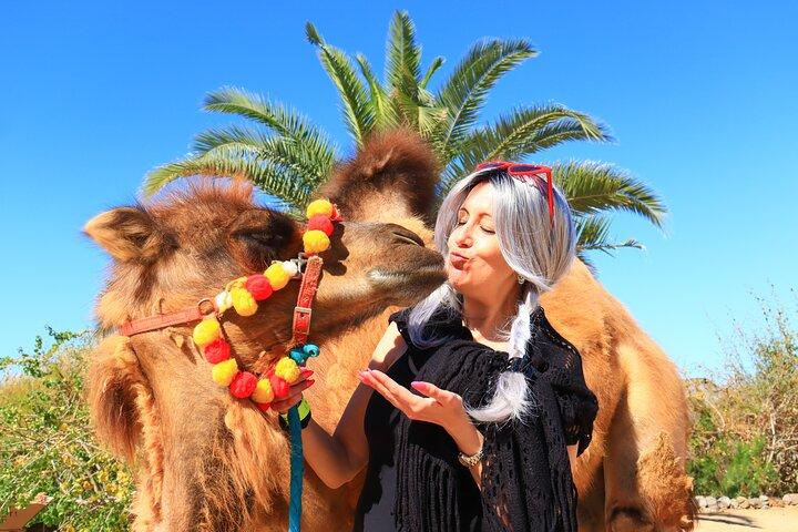 ATV Tour, Camel Ride, Tequila Tasting and Mexican Buffet Lunch