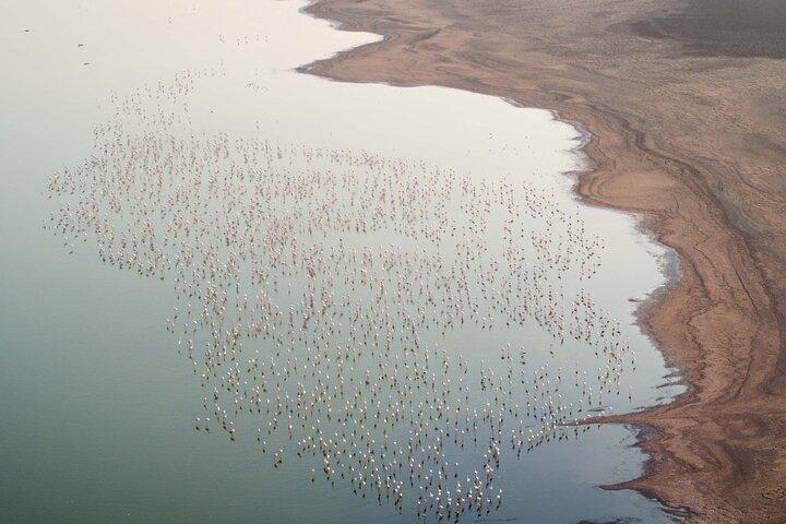 Al Wathba Fossil Dunes, Salt Lake & Wetland Experience Abu Dhabi