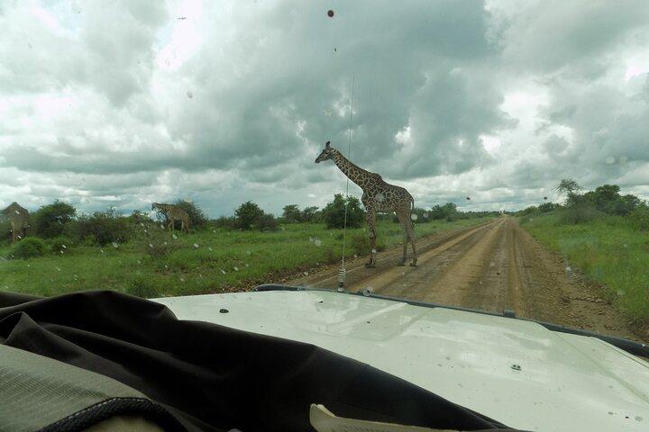 The Amaizing Private Day Trip to the lovely Arusha National Park