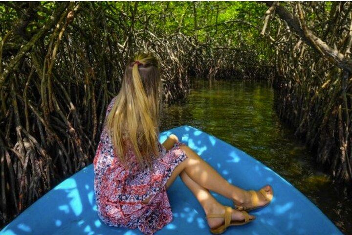 Colombo to Madu River & Galle | All-Inclusive Day Tour