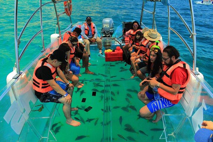 Half-Day Exploring the Arch of Cabo San Lucas Guided Tour