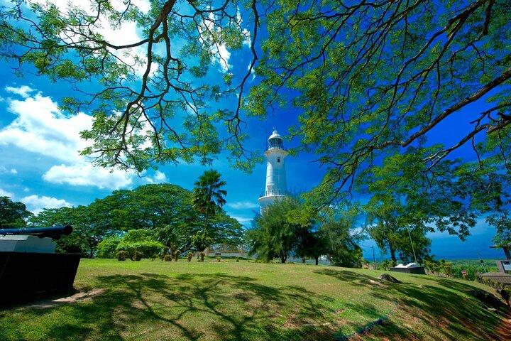 Firefly Kuala Selangor Tour Include Boat Ride & Seafood Dinner