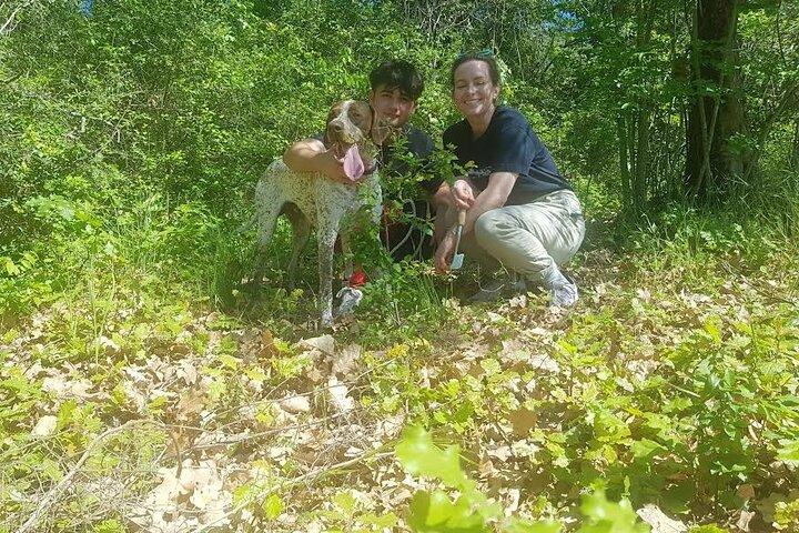 2 hours Private Activity - Truffle hunting in Assisi