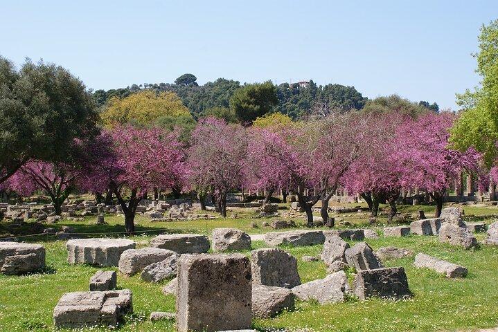 Small Group Shore Excursion at Ancient Olympia from katakolo Port