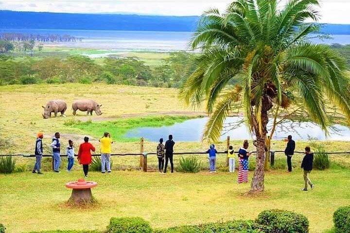 4 Days Safari Tour Masaai Mara And Lake Nakuru.
