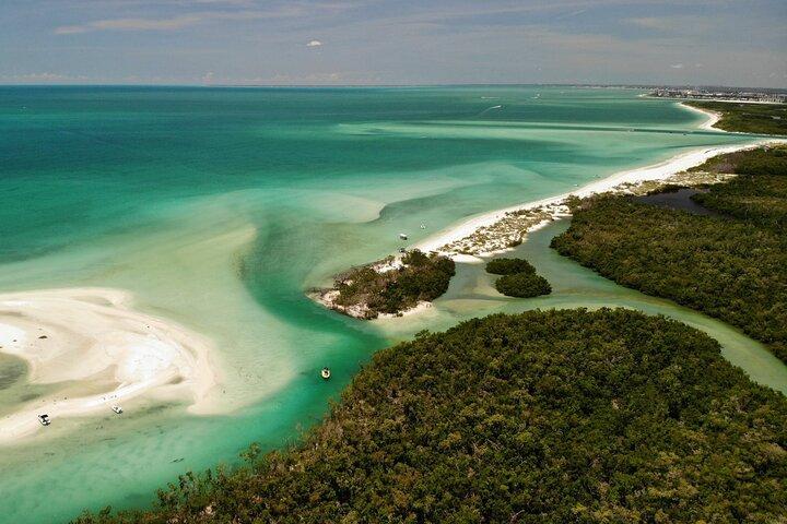 Guided Dolphin Eco Tour by Kayak & SUP - Fort Myers Beach, FL