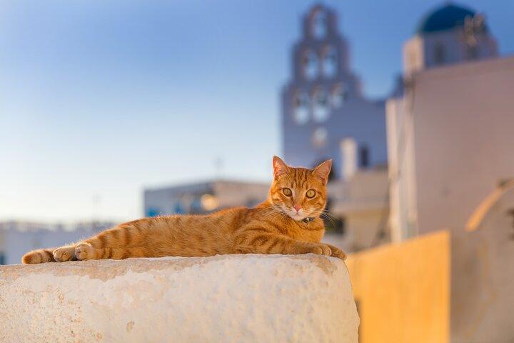 Private Full Day Tour in Santorini Greece