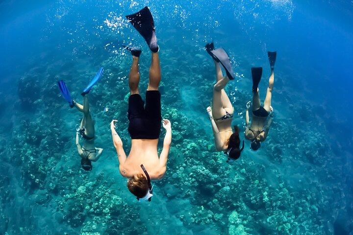 Turtles & Tacos Luxury Catamaran Snorkel